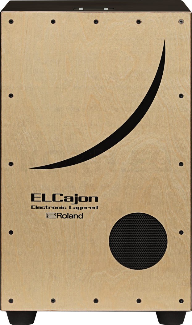 Roland EC-10